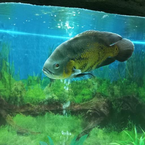 عکس موزه حیات وحش و آثار طبیعی هفت چنار