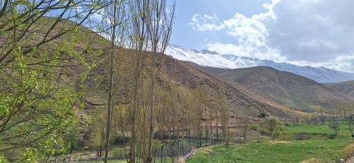عکس نجفدر