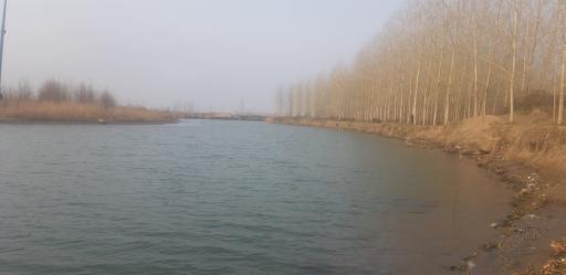 عکس رودخانه شلمان رود