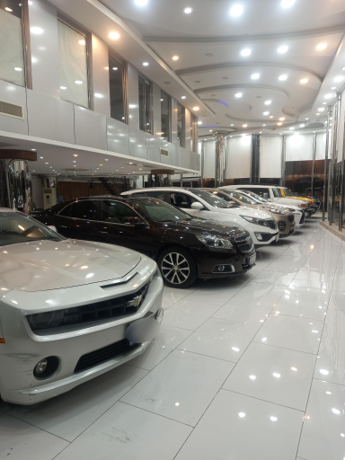 عکس نمایشگاه اتومبیل میلان (حبیبی)