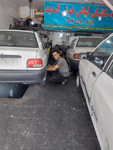 عکس مکانیکی و جلوبندی فیاض