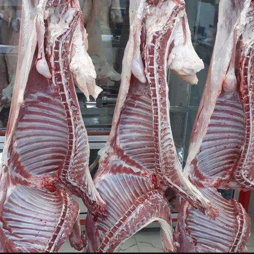 عکس قصابی سهرابی