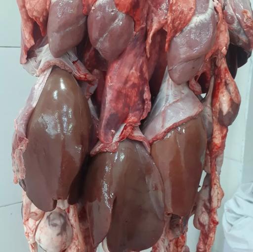 عکس قصابی سهرابی