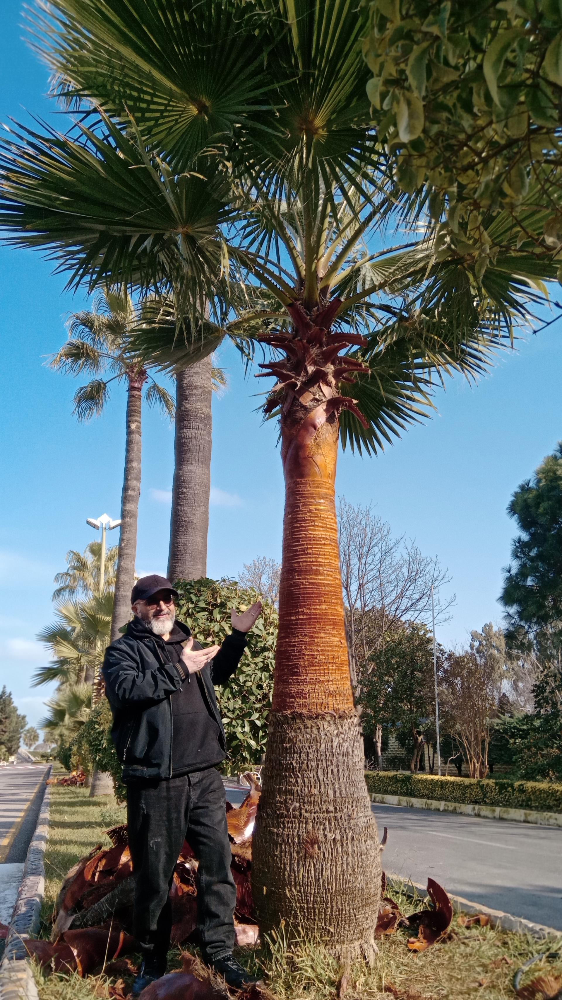 عکس مرکز آموزش بانک کشاورزی شعبه نخست وزیری