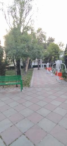 عکس بوستان شادی
