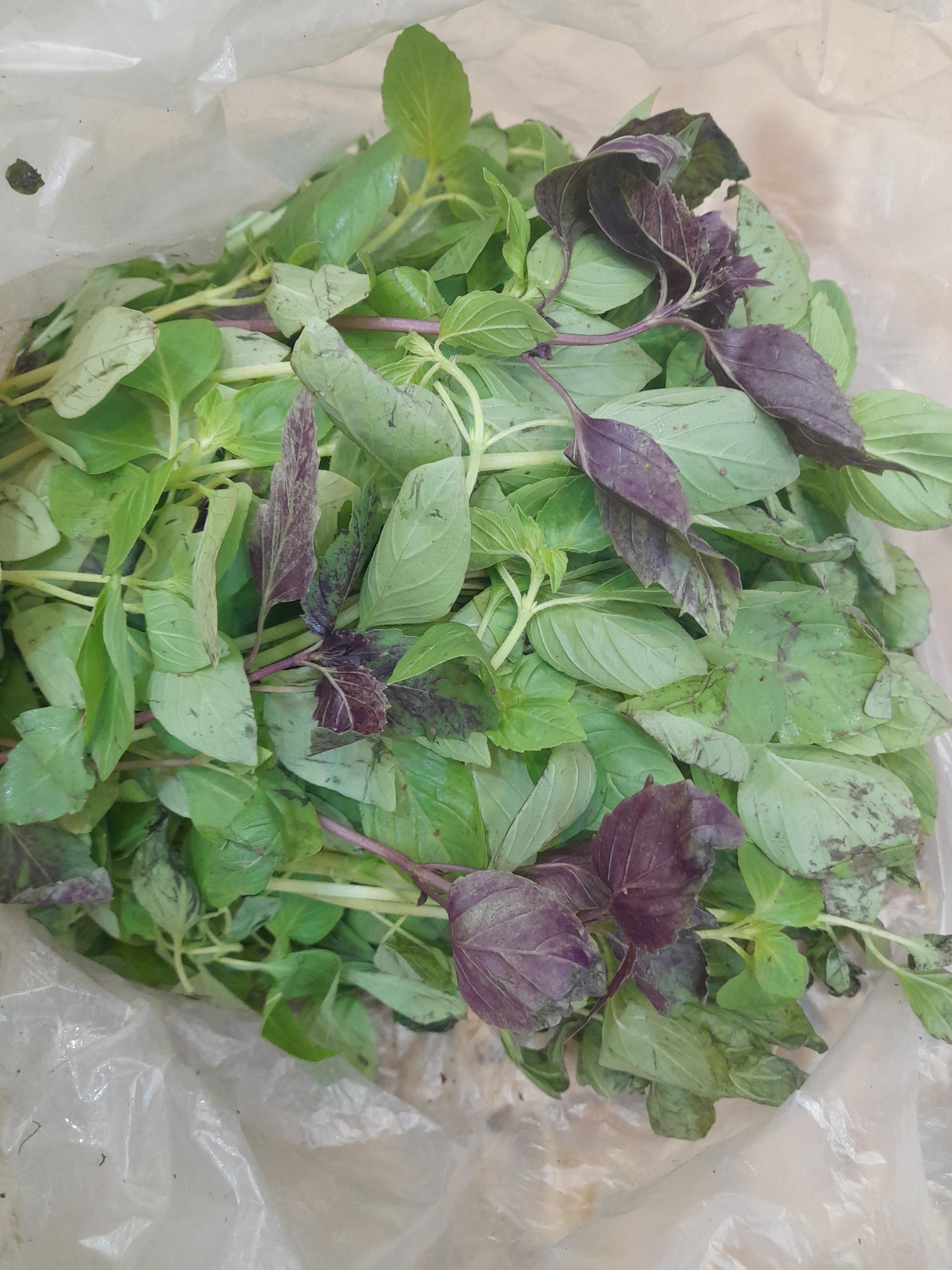 عکس سوپر میوه آلما