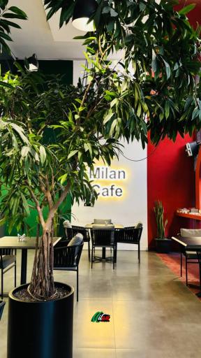 عکس کافی شاپ میلان