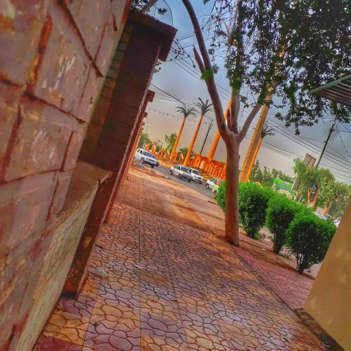 عکس میدان پنج نخل