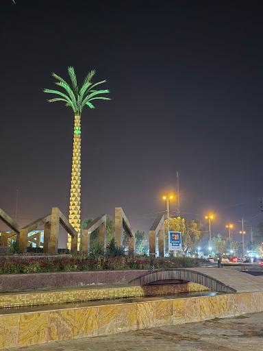 عکس میدان پنج نخل