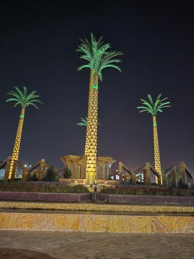 عکس میدان پنج نخل