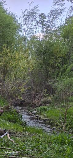 عکس کوراییم