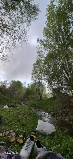 عکس کوراییم