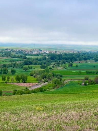 عکس کوراییم