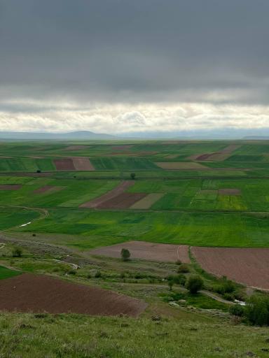 عکس کوراییم