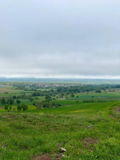 عکس کوراییم