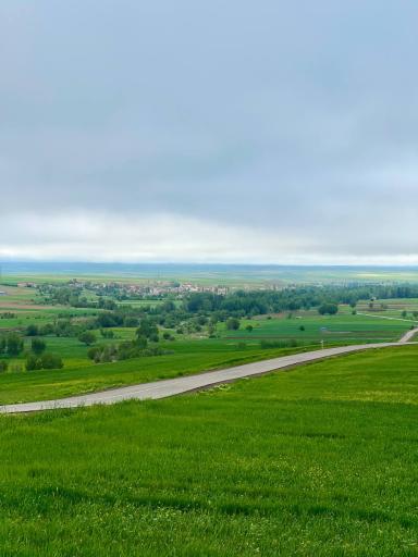 عکس کوراییم