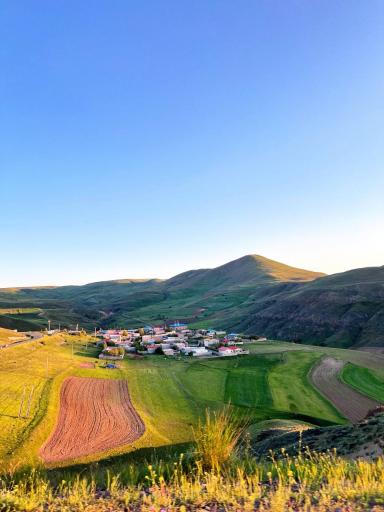 عکس کوراییم