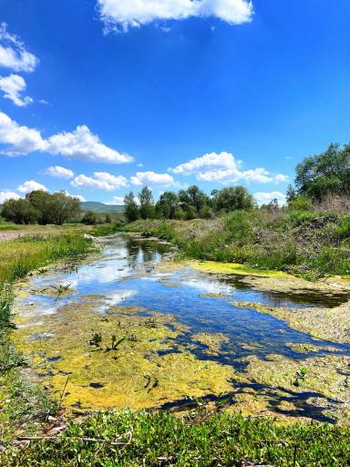 عکس کوراییم