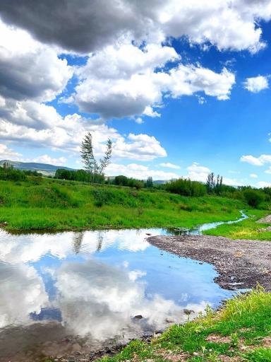 عکس کوراییم