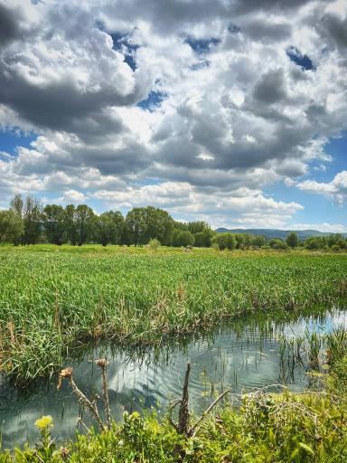 عکس کوراییم