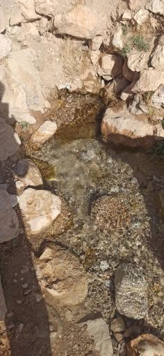 عکس چشمه میلاس