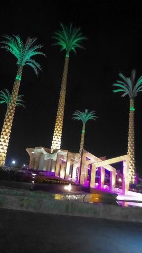 عکس میدان پنج نخل