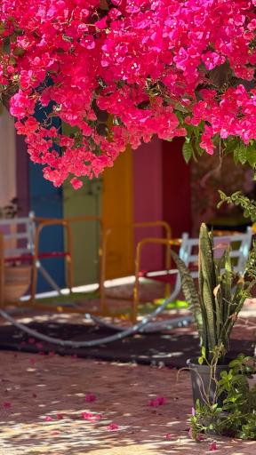 عکس مهد کودک جوانه 