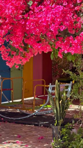 عکس مهد کودک جوانه 