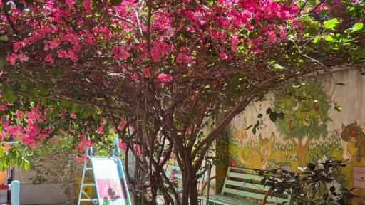 عکس مهد کودک جوانه 