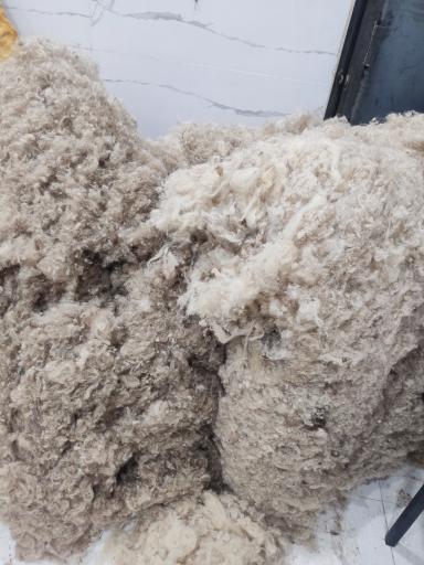 عکس حلاجی پشم و پنبه ثریا