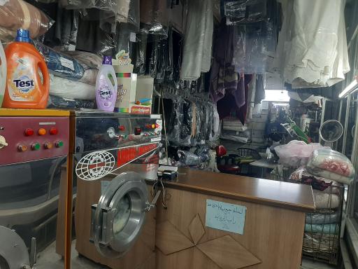 عکس خشکشویی شقایق