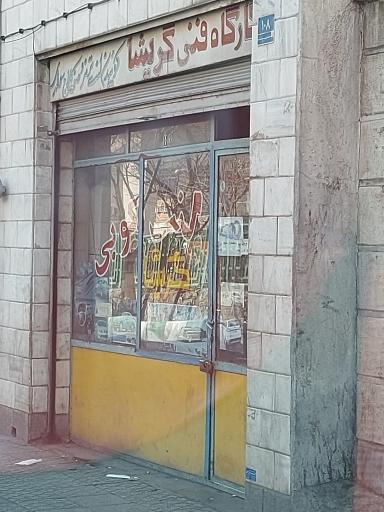 عکس لنت کوبی گریشا