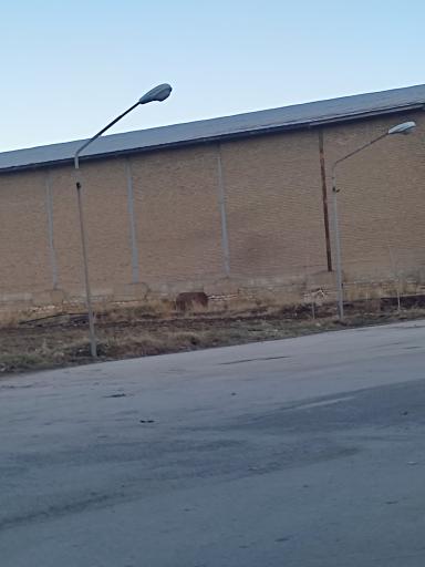 عکس سردخانه میوه و تره بار سینا همدان 