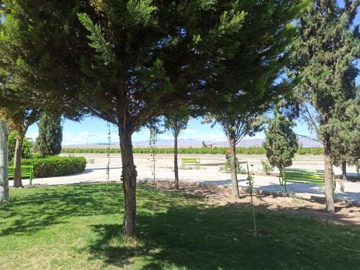 عکس بوستان سرو