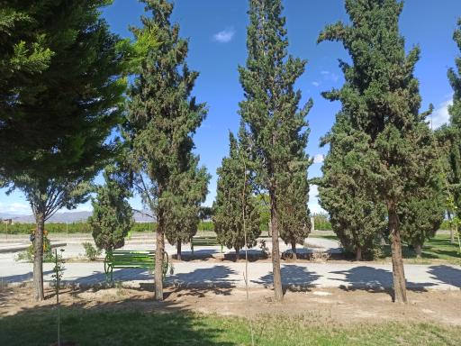 عکس بوستان سرو