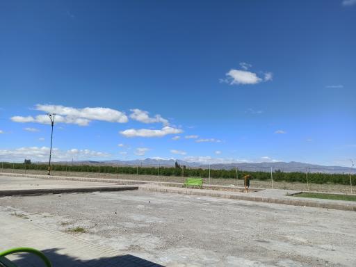 عکس بوستان سرو