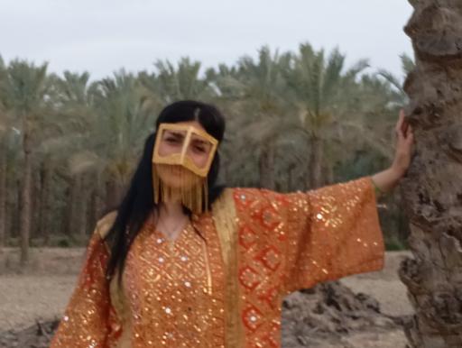 عکس نخلستان های آب‌پخش