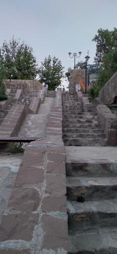 عکس بوستان ارغوان