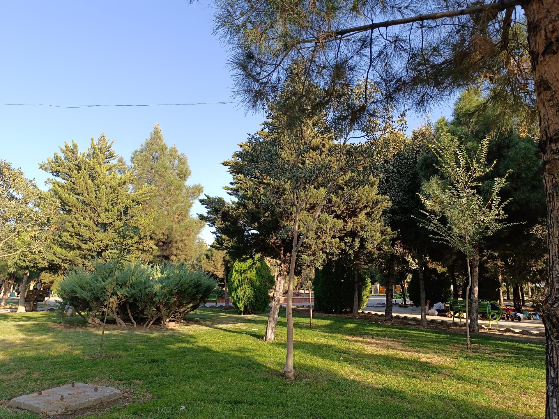 عکس بوستان سرو