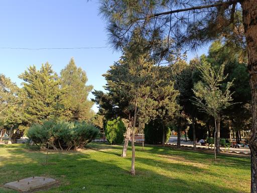 عکس بوستان سرو