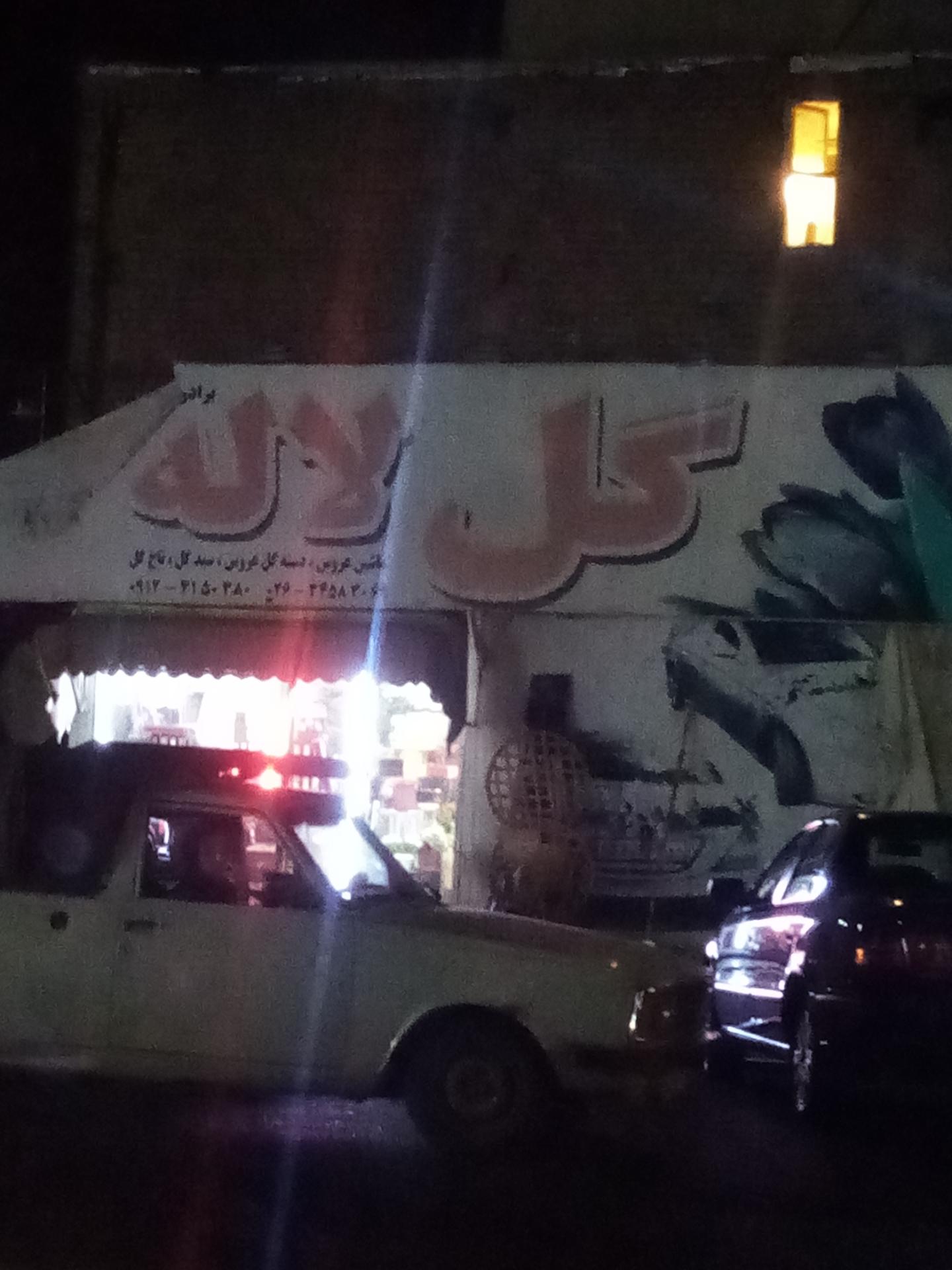 عکس گل لاله
