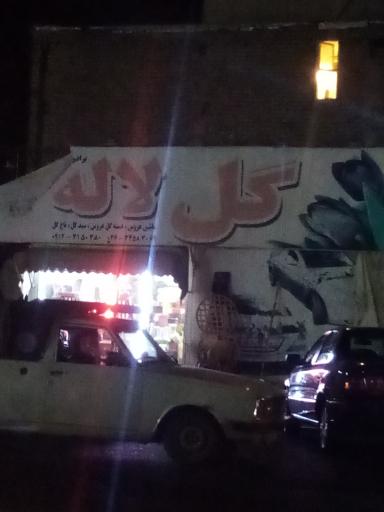 عکس گل لاله