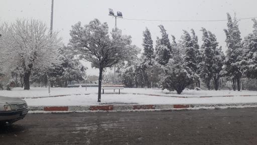 عکس میدان بهشتی