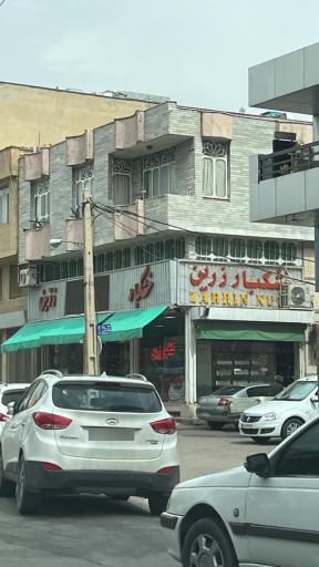 عکس خشکبار زرین