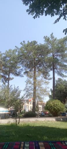 عکس میدان بهشتی