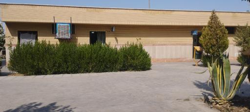 عکس بوستان سرو
