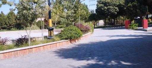 عکس بوستان سرو