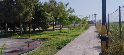 عکس بوستان سرو