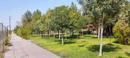 عکس بوستان سرو