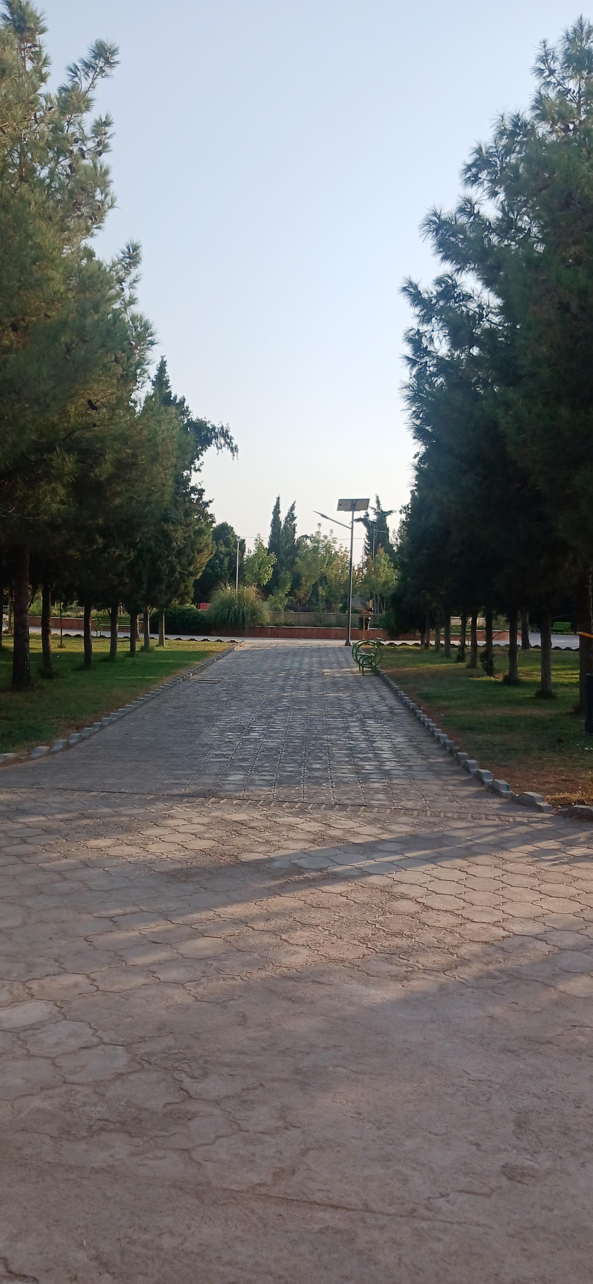عکس بوستان سرو